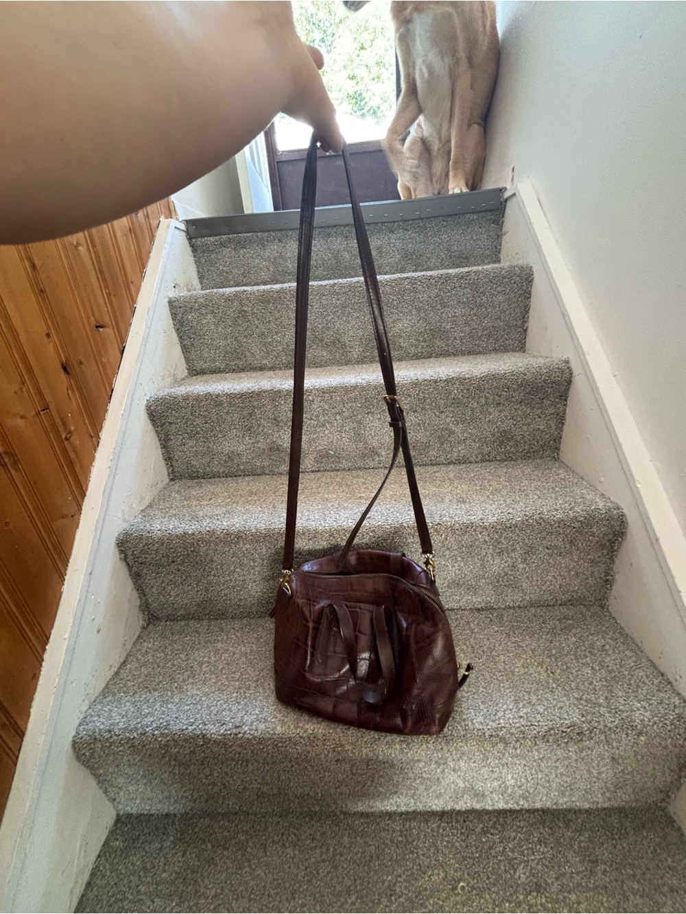 Fossil Croc-Embossed Leather Crossbody Bag - Dark Brown - Picture 3 of 7